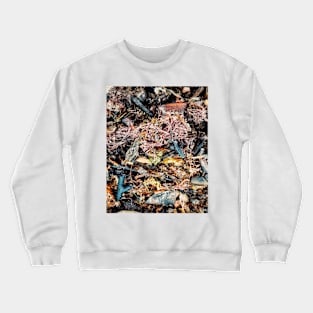 Seaweed Studies 19 Crewneck Sweatshirt